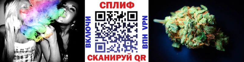 Каннабис конопля  Купить закладки  Горно-Алтайск 